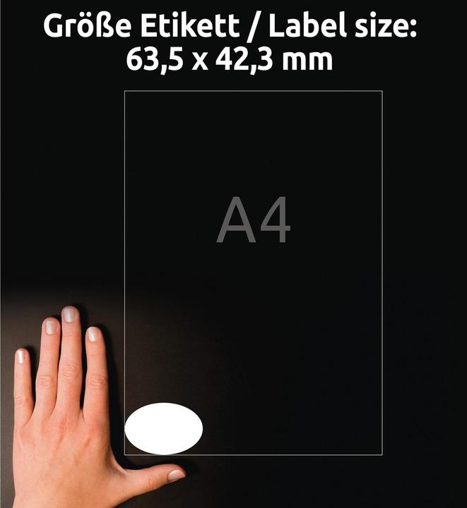Immagine prodotto Avery L6024rev-25