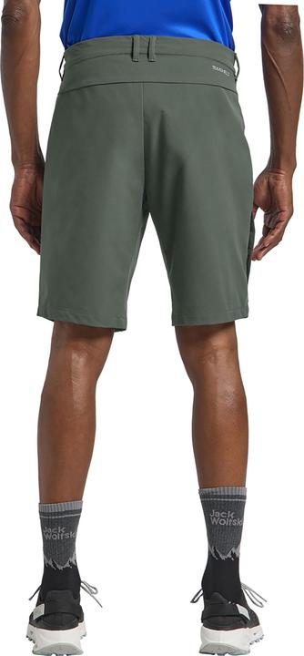 Actual product image Jack Wolfskin Pico Trail Shorts M (48)