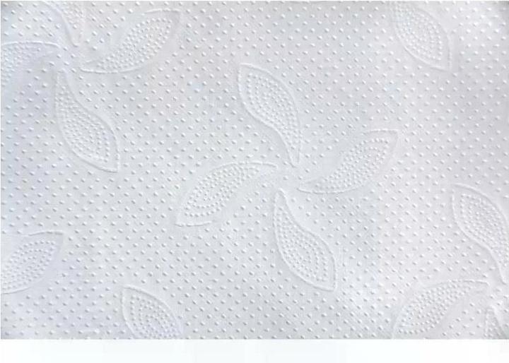 Actual product image Katrin Z-Fold towels (4000 x)