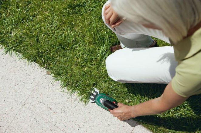 Image du produit Bosch Home & Garden Kit de taille d'arbustes et d'herbe sans fil Isio