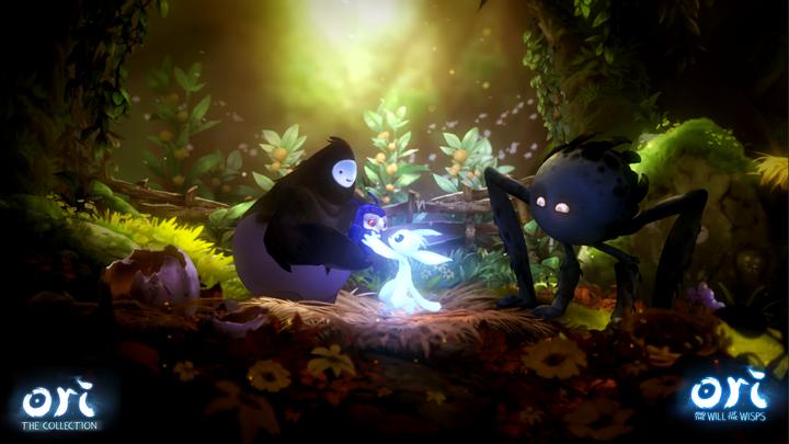 Immagine prodotto Skybound Ori - La collezione (Switch, Switch Lite, Switch OLED, DE)
