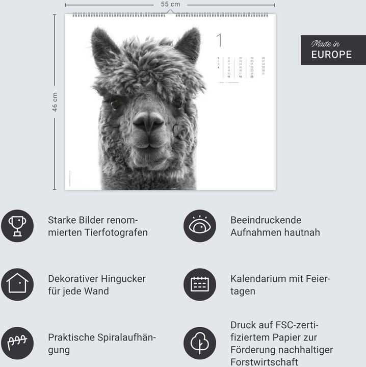Actual product image Black & White Animals 2026 (55 x 46 cm, Hardcover, German)