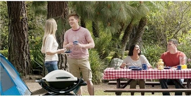 Image du produit Weber Q 1000 (2.64 kW)