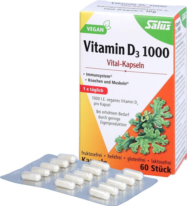 Produktbild Salus Vitamin D3 1000 Vital Kapseln (60 Stück, Kapseln, 32 g)