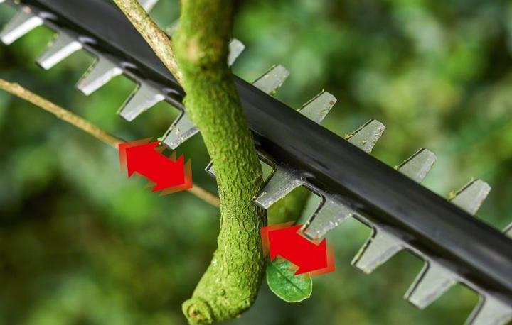Produktbild Bosch Home & Garden UniversalHedgePole 18 (Akkuheckenschere)