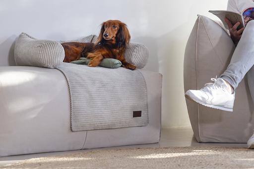 Produktbild Designed by Lotte Ribbed (Hund)