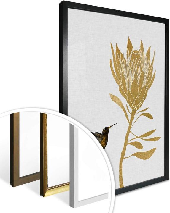 Image du produit Trenddeko Orara Studio - Colibri et fleur - fleur dorée (24 x 30 cm)