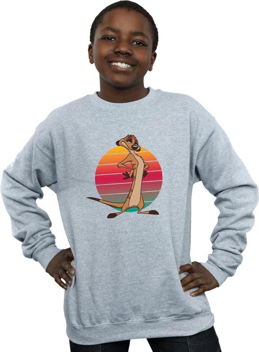 Actual product image Disney Boys The Lion King Timon Sunset Sweatshirt (140, 146)