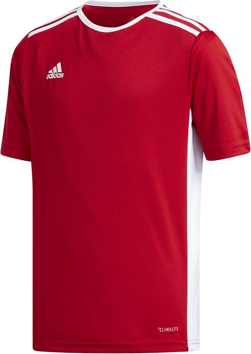 adidas Entrada 18 Trikot Kinder (128)