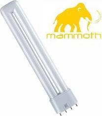 Image du produit Mammoth Ampoule 36 watts 2700 kelvins (LED, 230 V)