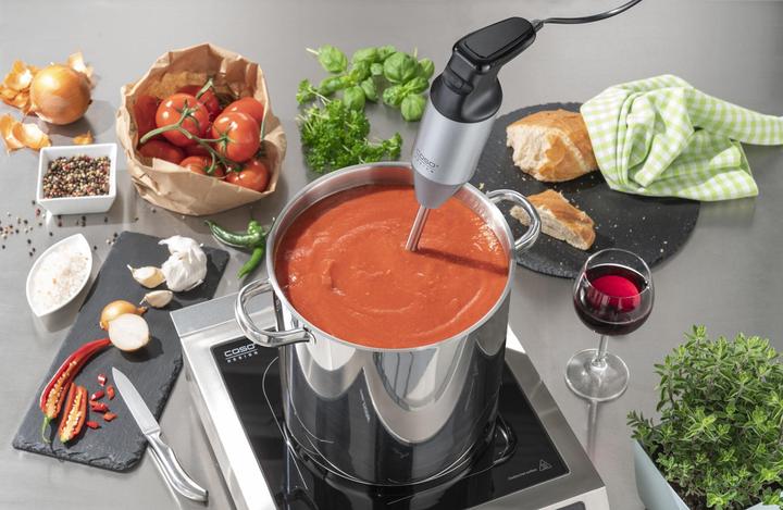 Produktbild Siena Garden Stabmixer HB 2400 XL Pro