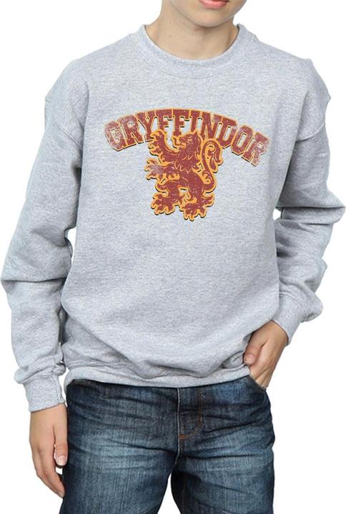 Immagine prodotto Gryffindor Sport Emblem Felpa Ragazzi (152, 158)