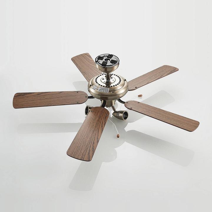 Actual product image Lucande Anariki (43.50 dB)