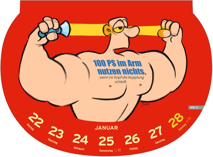 Image du produit Heye Calendrier illustré Proverbes stupides (21 x 29 cm, Non contraignant, Allemand)