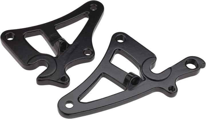 Salsa Alternator dropout Swing plate thru axle left mudguard eyelets