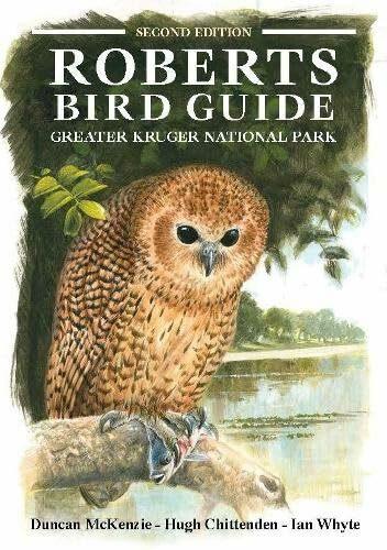 Produktbild Roberts Bird Guide Greater Kruger National Park (Englisch, Ian Whyte, Hugh Chittenden, Duncan McKenzie, 2024)
