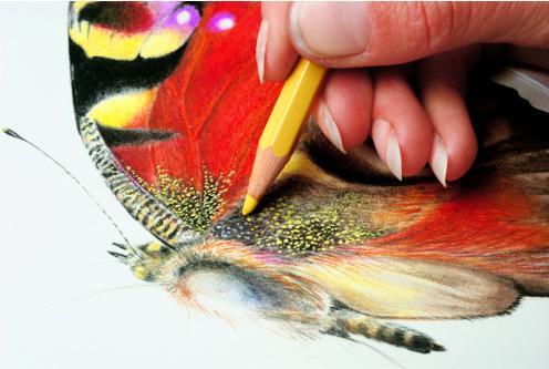 Actual product image Caran d'Ache Prismalo Aquarelle (Red, 1 x)