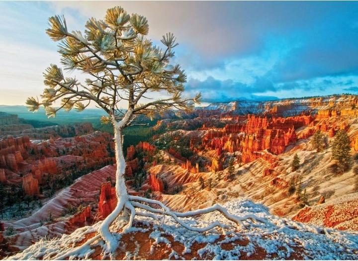 Produktbild Eurographics Grand Canyon Winter Sonnenauf. (1000 Teile)