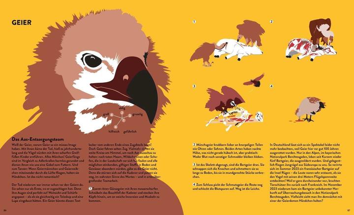 Produktbild Tessloff Stinker, Sauger, Schleimer. 22 grossartige Gruseltiere (Deutsch, Katja Trippel, Ole Häntzschel, 2024)
