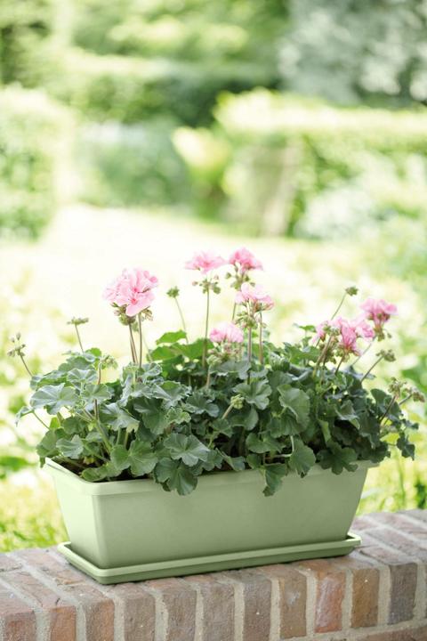 Actual product image Elho Balcony box Barcelona (19 cm)