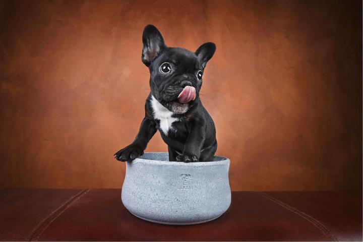 Immagine prodotto Laboni Rocky Jr. (1.50 l)
