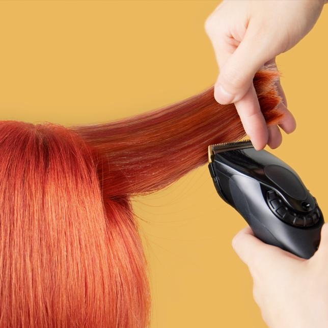 Image du produit Panasonic ER-DGP84