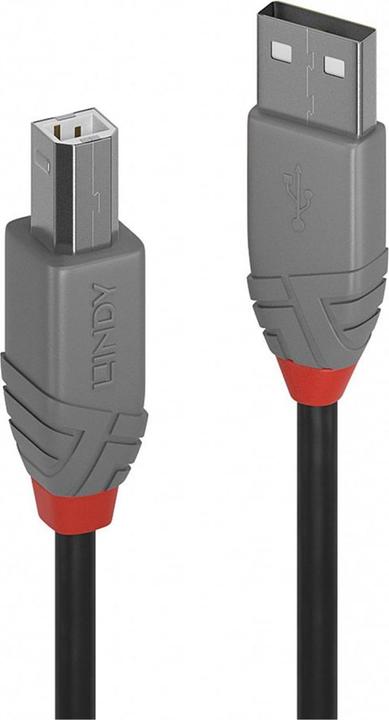 Produktbild Lindy USB A—Usb B (5 m, USB 2.0)