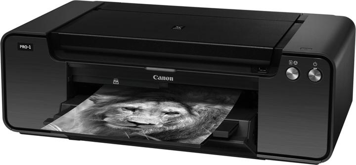 Actual product image Canon Pixma Pro-1 (Ink, Colour)