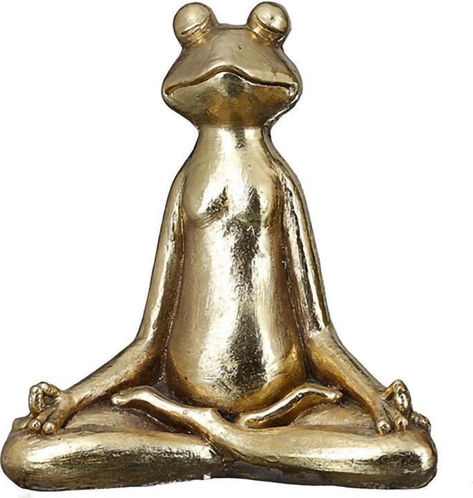 Gilde Yoga frog