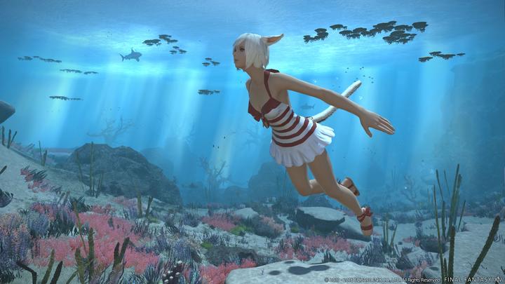 Image du produit Plaion Final Fantasy XIV Stormblood (PS4, IT)
