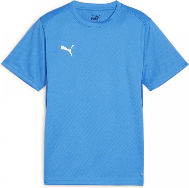 Immagine prodotto Puma Maglia TeamGOAL Jr (164)