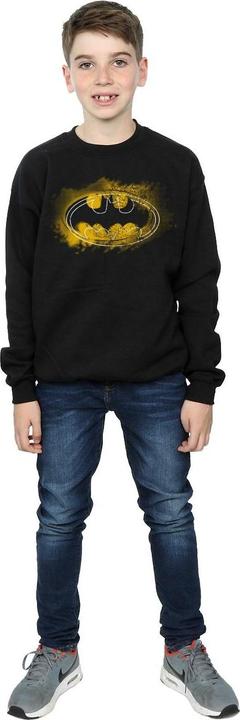 Produktbild Batman Spray Logo Sweatshirt Jungen (140, 146)