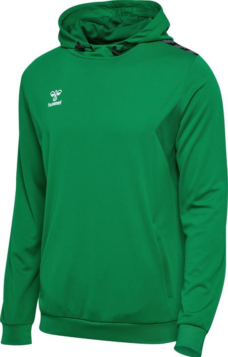 Actual product image hummel Hmlauthentic Pl Hoodie (M)