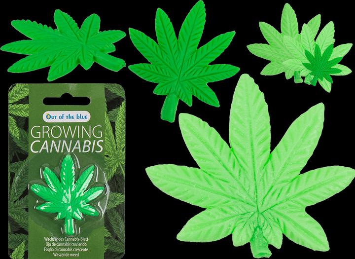 Produktbild Out of the blue Wachsendes Cannabisblatt