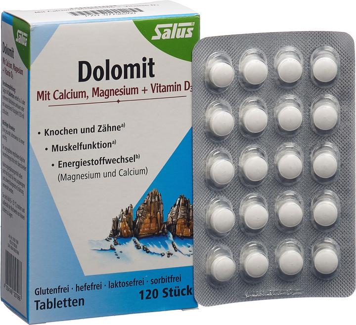 Produktbild Salus Dolomit Magnesium Calcium Vitamin D3 Tabl (120 Stück, Tabletten, 113 g)