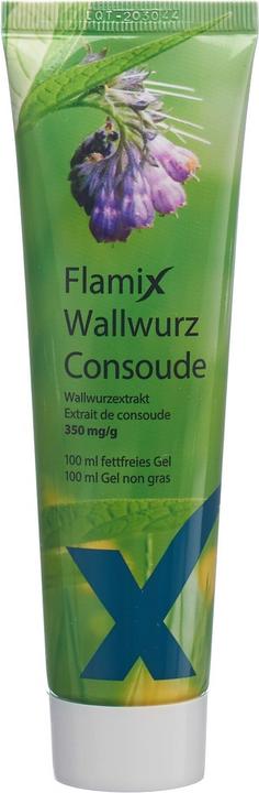 Produktbild Axapharm Wallwurz Gel (1 x, 100 ml, 123 g)