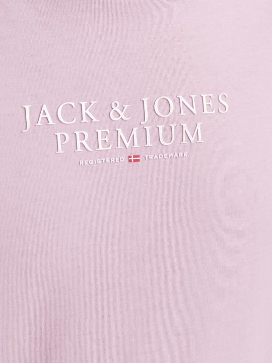 Immagine prodotto Jack & Jones Jprbluarchie Ss Tee Crew Neck Noos (M)