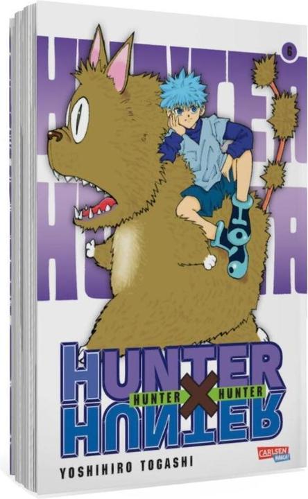 Actual product image Hunter X Hunter, Band 6 (German, Yoshihiro Togashi, 2004)