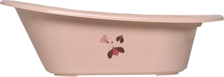 Papillon Sweet Butterfly
