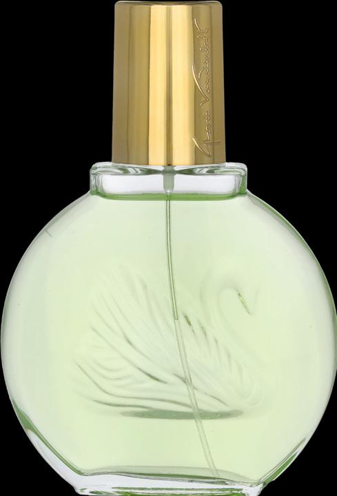 Image du produit Gloria Vanderbilt Jardin a New York (Eau de parfum, 100 ml)