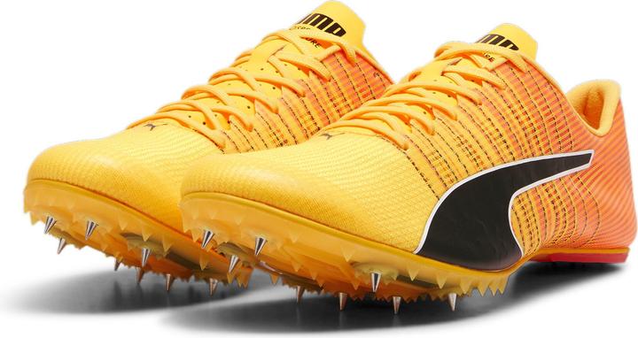Puma evoSPEED FUTURE 6