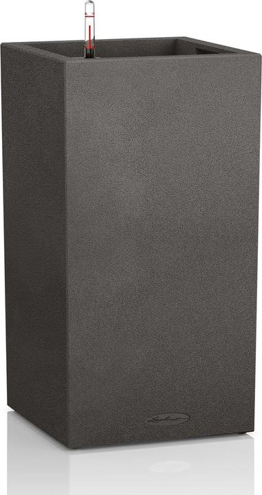 Immagine prodotto Lechuza Pietra di Canto (40 cm)