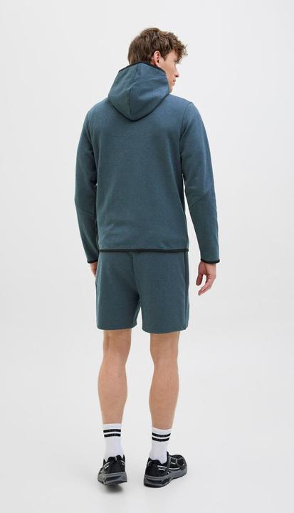 Produktbild Jack & Jones Regular Fit Regular Fit Shorts Regular Fit Shorts (L)