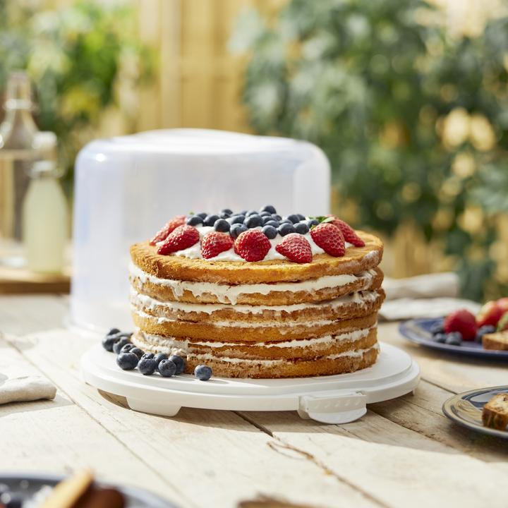 Actual product image Rotho Cake Bell XL FRESH