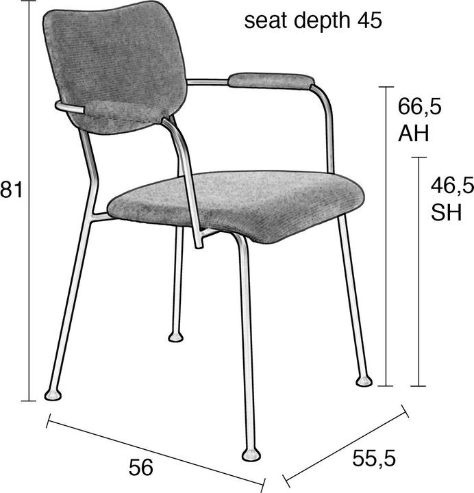 Actual product image Zuiver Armchair Benson