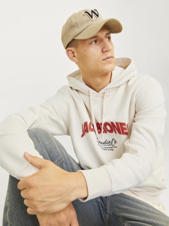 Immagine prodotto Jack & Jones Jorbronx Arch Big Sweat Hood Ln (S)