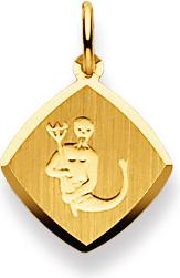 Immagine prodotto Natsumi Schmuck Ciondolo Zodiaco Acquario in oro giallo 18K/750 (Oro giallo 750/18 K Oro giallo)