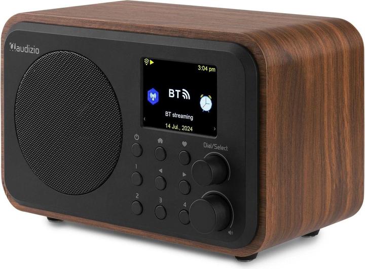 Image du produit Audizio Vicence (Webradio, DAB+ DAB, FM, Bluetooth, WiFi)