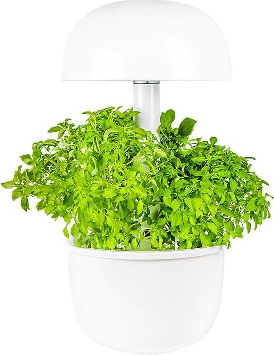 Produktbild Plantui Smart Garden 3e (Keimlinge)