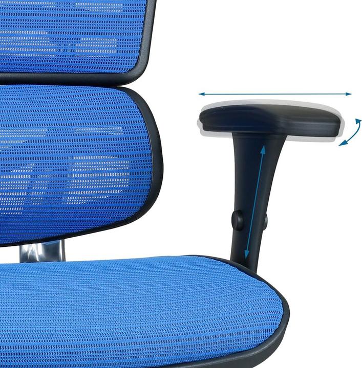 Actual product image Hjh Office Ergohuman Edition